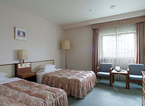 �m���j���[�A���n�c�C�����[��